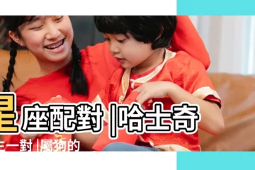 【十二星座配對什麼狗】星座配對 |哈士奇天生一對 |屬狗的十二星座配對組合 |