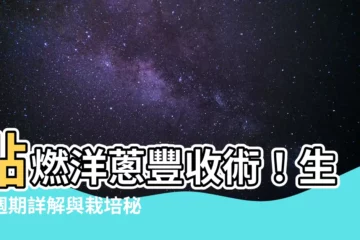 【洋葱生長週期】點燃洋葱豐收術！生長週期詳解與栽培秘訣大公開