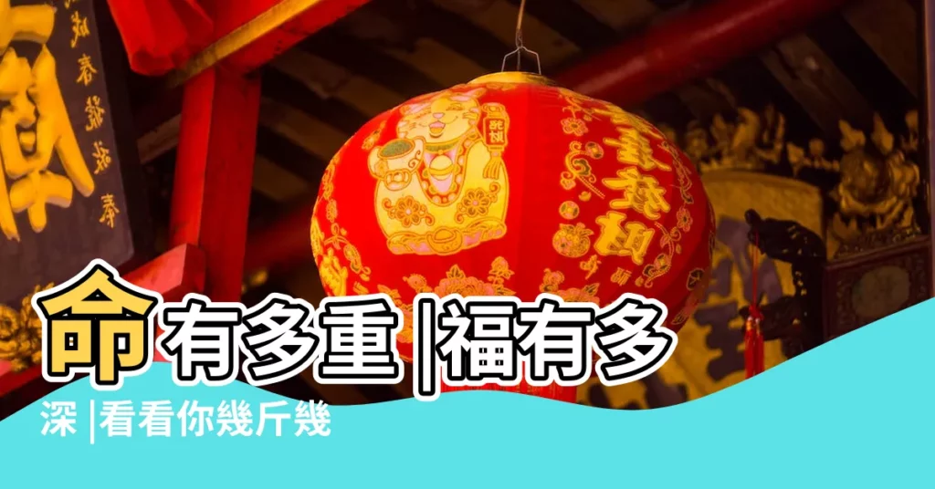 命有多重 |福有多深 |看看你幾斤幾兩 |【1993年的命多重】