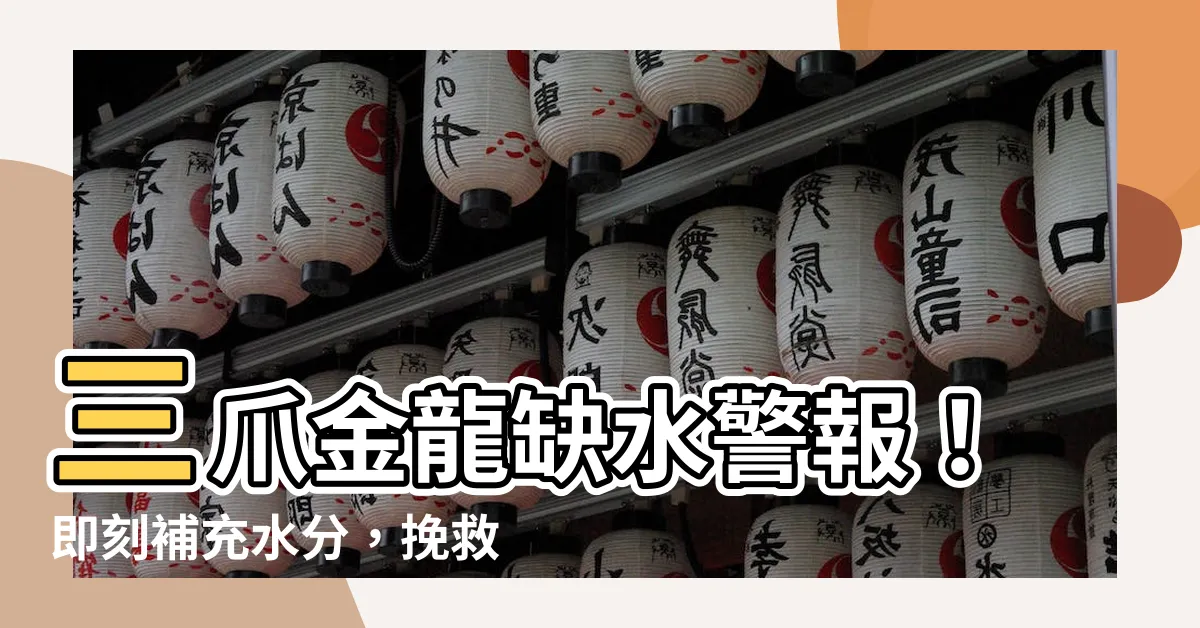 【三爪金龍缺水】三爪金龍缺水警報！即刻補充水分，挽救奇植！