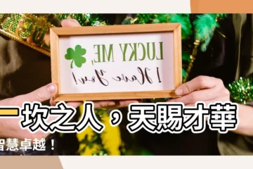 【一坎】一坎之人，天賜才華，智慧卓越！