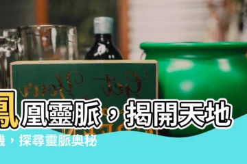 【鳳凰靈脈】鳳凰靈脈，揭開天地玄機，探尋靈脈奧秘