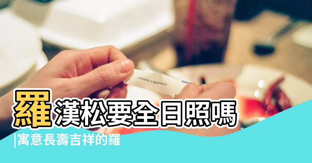 【羅漢鬆放室內】羅漢松要全日照嗎 |寓意長壽吉祥的羅漢松 |照護指南 |