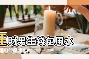 【男士錢包什麼顏色好看】旺財男生錢包風水 |男士用什麼顏色的錢包聚財 |男士用什麼顏色的錢包聚財 |