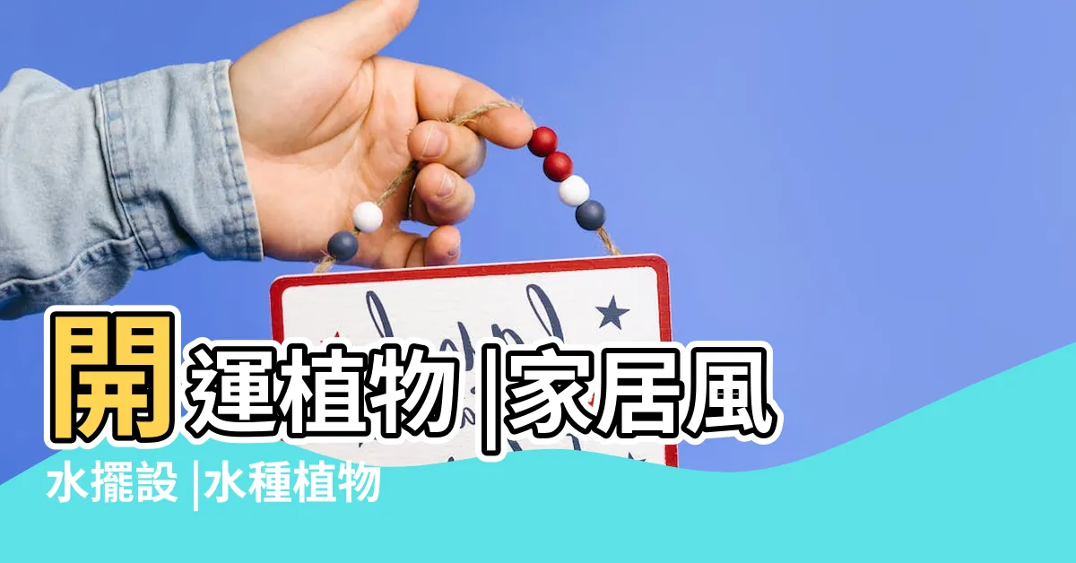 【泥種植物風水2023】開運植物 |家居風水擺設 |水種植物怎樣擺 |