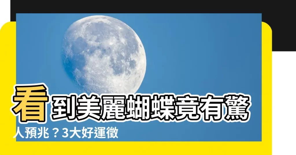 【看到蝴蝶】看到美麗蝴蝶竟有驚人預兆？3大好運徵兆讓你錢財滿貫！