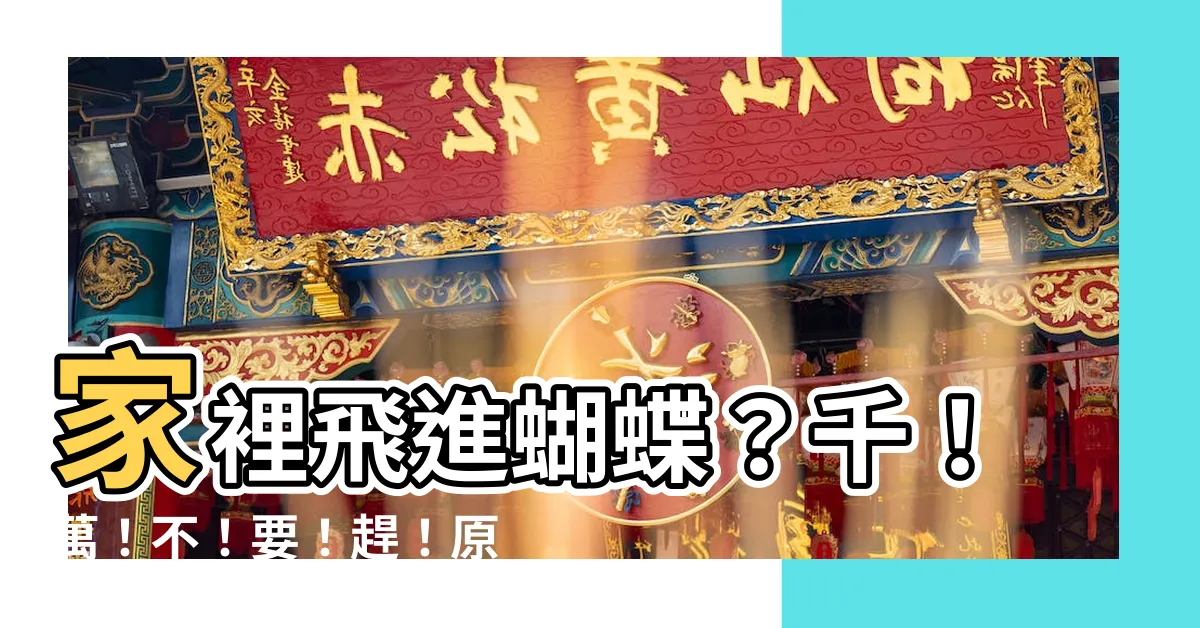【家裡有蝴蝶】家裡飛進蝴蝶？千！萬！不！要！趕！原來代表著...