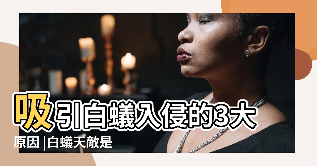 【白蟻怕熱嗎】吸引白蟻入侵的3大原因 |白蟻天敵是誰 |白蟻怕什麼 |