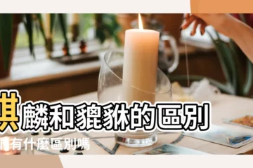 【麒麟是不是貔貅】麒麟和貔貅的區別 |它們有什麼區別嗎 |貔貅和麒麟都是神獸 |