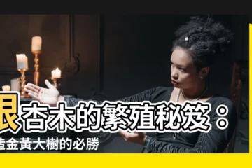 【銀杏木繁殖】銀杏木的繁殖秘笈：打造金黃大樹的必勝指南