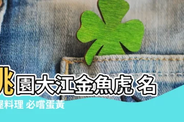 【金魚虎】桃園大江金魚虎 名古屋料理 必嚐蛋黃日式漢堡排
