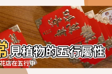 【鮮花的五行屬性】常見植物的五行屬性 |鮮花店在五行中算什麼屬性 |鮮花究竟擺哪最旺財 |