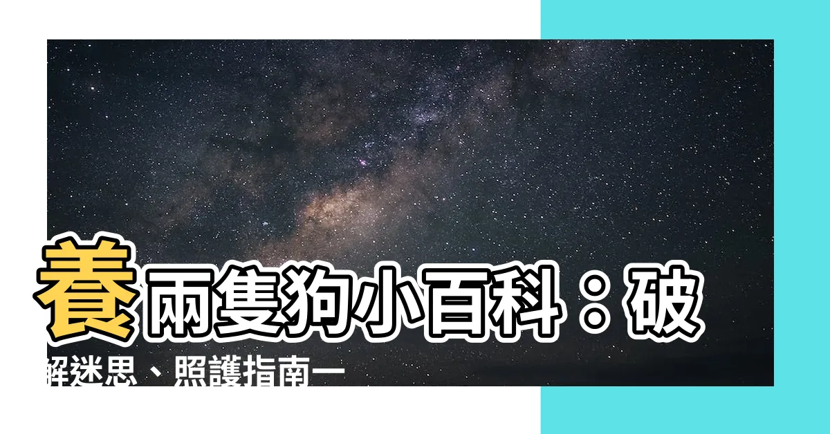 【養兩隻狗】養兩隻狗小百科：破解迷思、照護指南一次搞定！