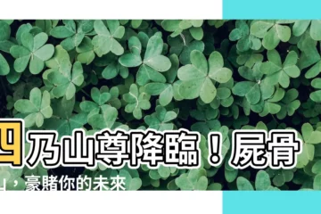 【四乃山尊】四乃山尊降臨！屍骨成山，豪賭你的未來！