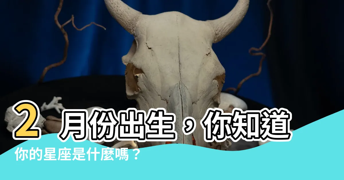 【2月是什麼星座】2月份出生，你知道你的星座是什麼嗎？一鍵查詢你的星座生日！