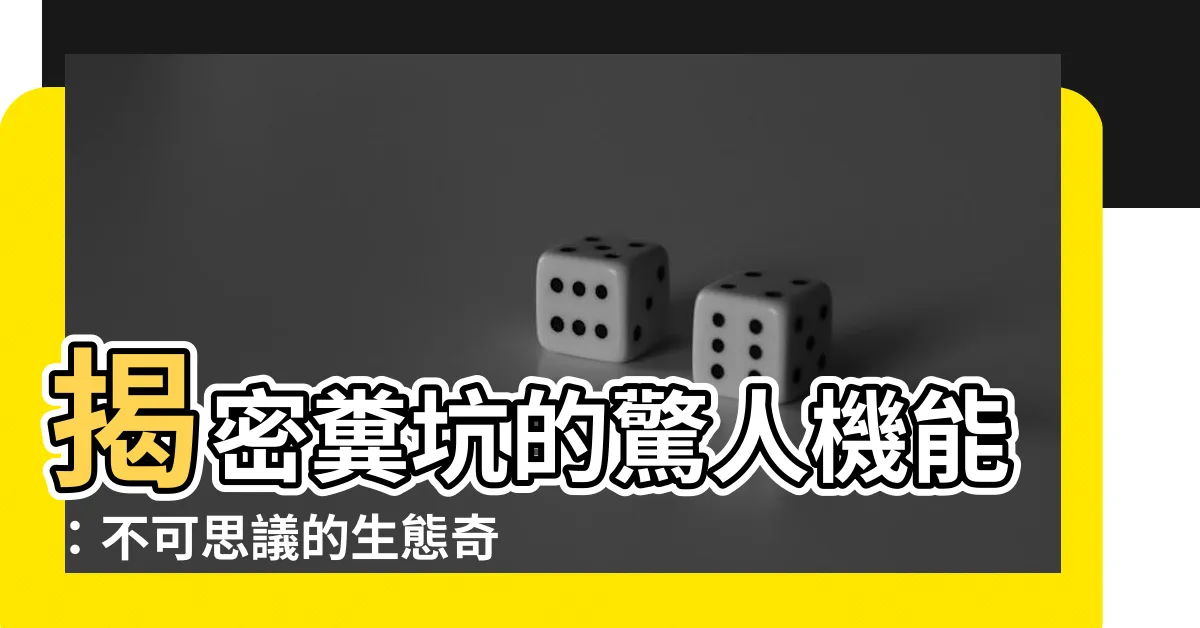 【糞坑】揭密糞坑的驚人機能：不可思議的生態奇蹟