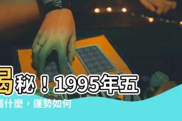 【1995年五行】揭秘！1995年五行屬什麼，運勢如何大放送