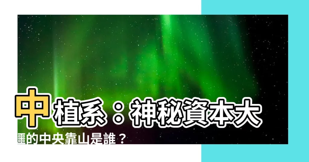 【中植系的中央靠山是誰】中植系：神秘資本大鱷的中央靠山是誰？