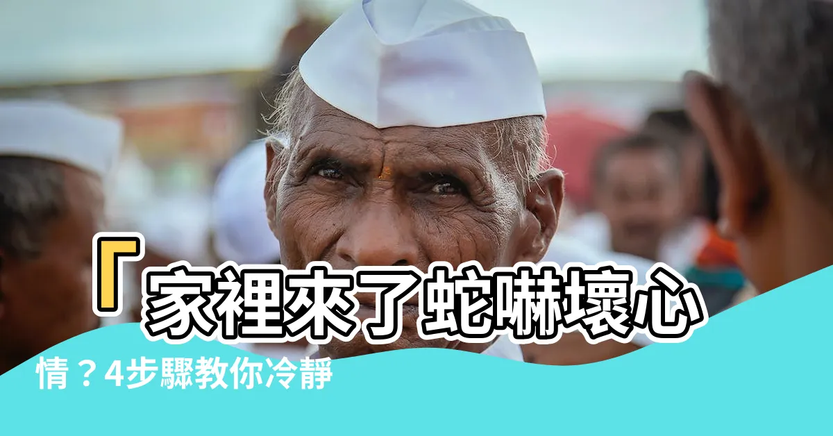 【有蛇跑進家裡】「家裡來了蛇嚇壞心情？4步驟教你冷靜處理，重拾安心與寧靜！」