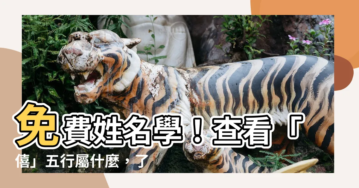 【僖五行】免費姓名學！查看「僖」五行屬什麼，瞭解其深層含義