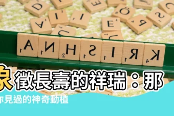 【長壽象徵】象徵長壽的祥瑞：那些你見過的神奇動植物和神話傳説
