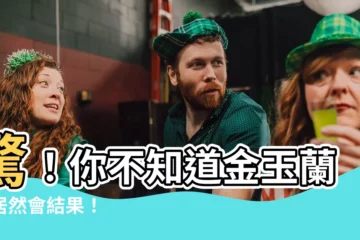 【金玉蘭結果】驚！你不知道金玉蘭樹居然會結果！