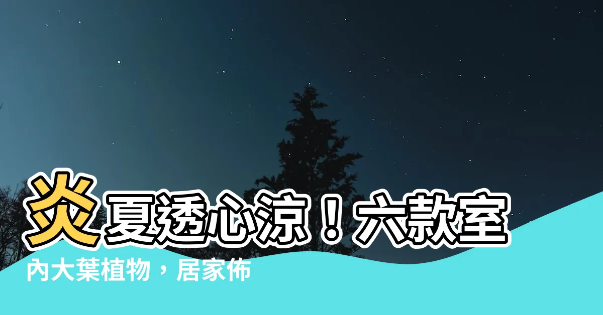 【室內大葉植物】炎夏透心涼！六款室內大葉植物，居家佈置、觀葉兩相宜！