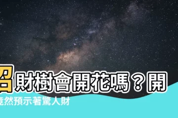 【招財樹會開花嗎】招財樹會開花嗎？開花竟然預示著驚人財運！