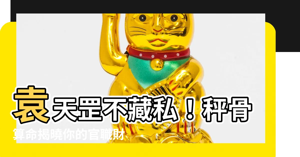 【官職財祿豐堅之命】袁天罡不藏私！秤骨算命揭曉你的官職財祿豐堅之命