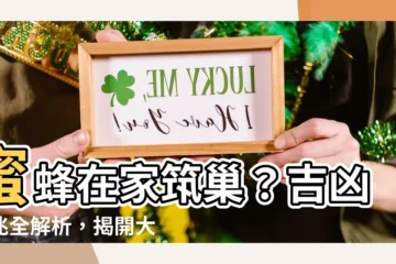 【蜜蜂在家裏築巢】蜜蜂在家築巢？吉凶徵兆全解析，揭開大自然的玄機