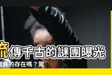 【龍真的存在嗎】流傳千古的謎團曝光！龍真的存在嗎？驚天證據令世人震驚！
