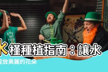 【水槿種植】水槿種植指南：讓水槿綻放美麗的花朵