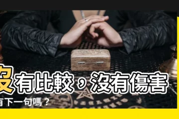 【沒有比較沒有傷害下一句】沒有比較，沒有傷害；有下一句嗎？