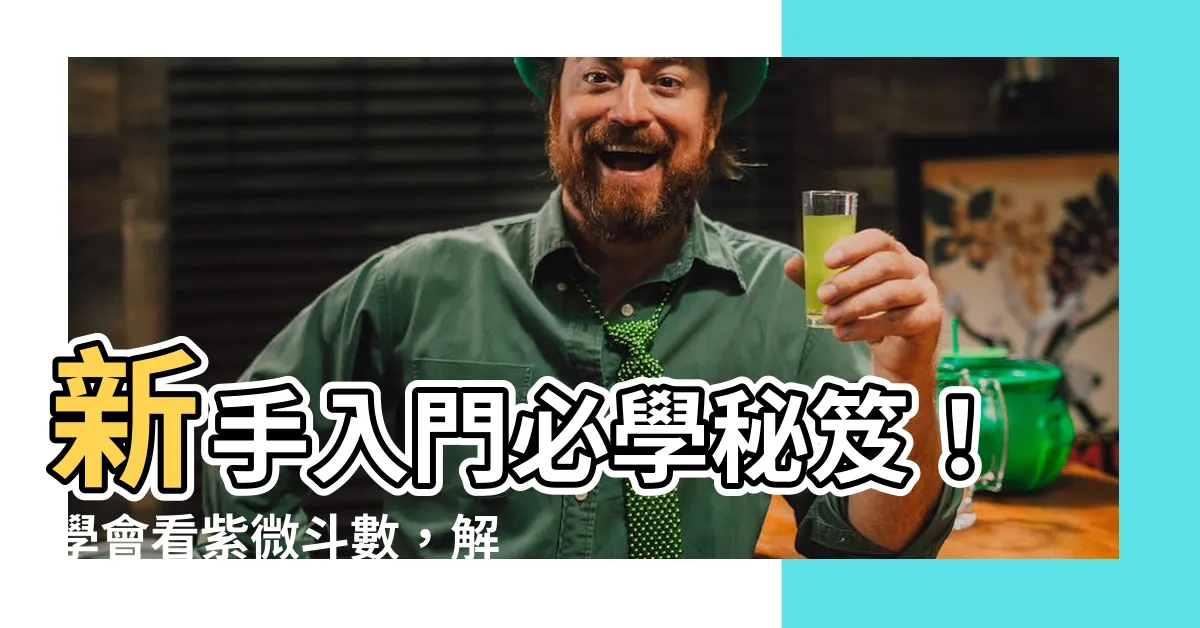 【紫微鬥數 命盤怎麼看】新手入門必學秘笈！學會看紫微鬥數，解鎖你的命盤密碼