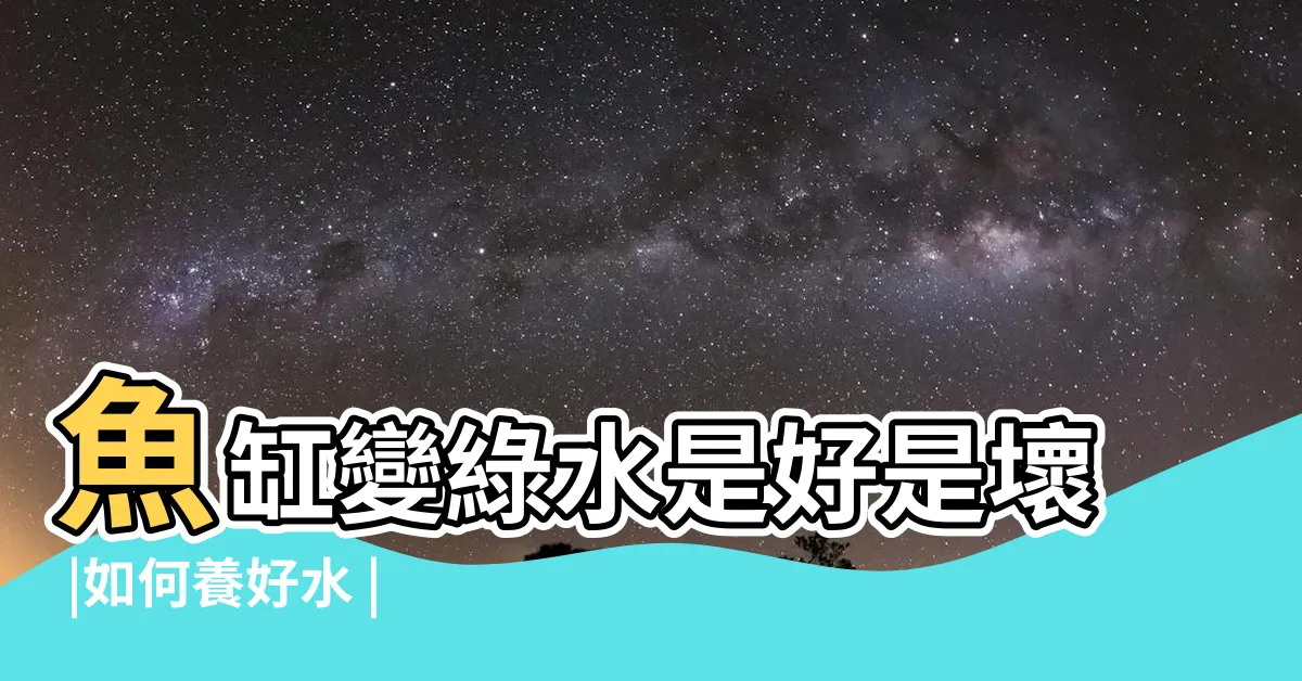 【綠水養魚】魚缸變綠水是好是壞 |如何養好水 |之我們所要的綠水 |