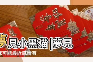 【夢見黑色的小貓】夢見小黑貓 |夢見貓咪可能最近感情有問題哦 |夢見不同貓咪有不同意思 |