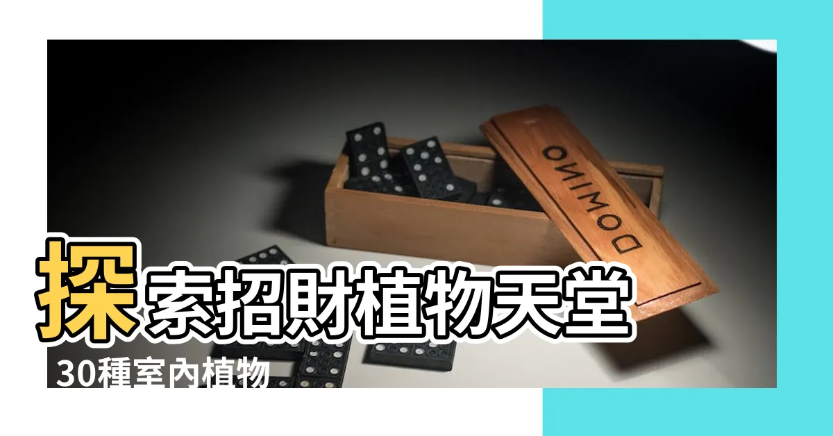 【招財植物有哪些】探索招財植物天堂 - 30種室內植物帶給你無限財富！