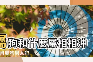 【屬狗的2017年相沖屬相是什麼意思】屬狗和什麼屬相相沖 |生肖屬狗男人犯太歲要注意哪些 |2017年這些生肖攤上大事了 |