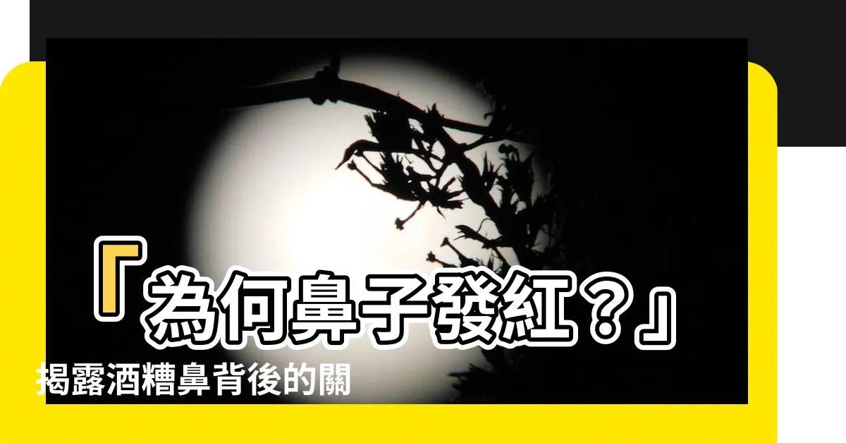 【鼻子紅的原因】「為何鼻子發紅？」揭露酒糟鼻背後的關鍵原因！