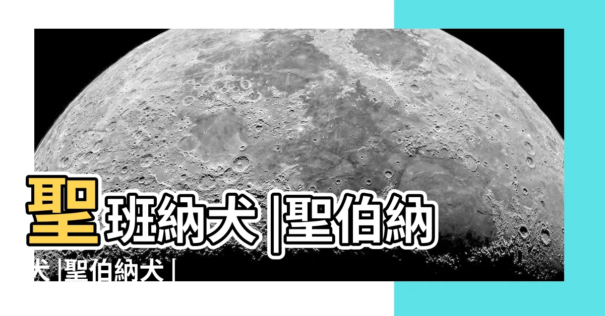 【聖班納】聖班納犬 |聖伯納犬 |聖伯納犬 |