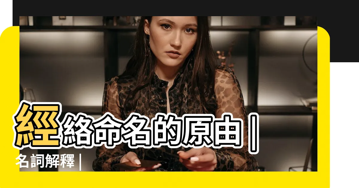 【少陰意思】經絡命名的原由 |名詞解釋 |