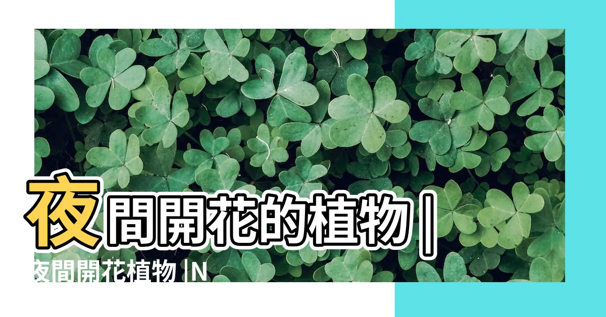 【夜間開花植物】夜間開花的植物 |夜間開花植物 |Nocturnal |