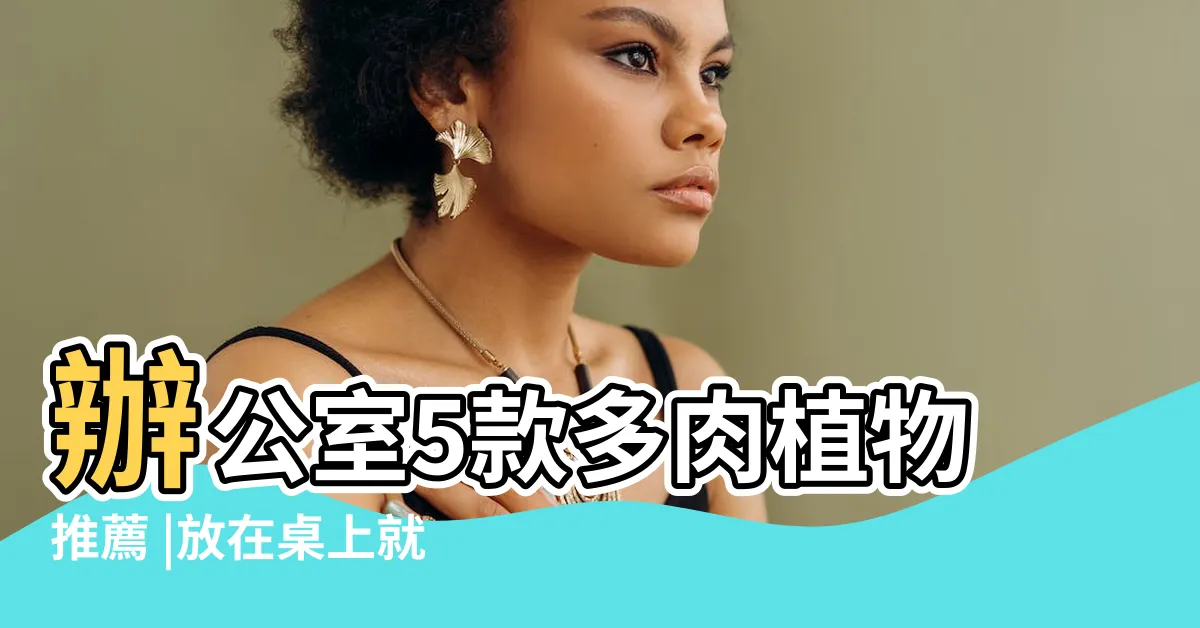 【十二之卷風水】辦公室5款多肉植物推薦 |放在桌上就招財 |卻是多肉植物裏的 |