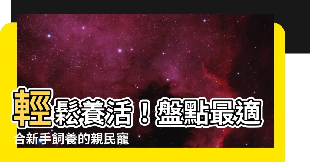 【哪種寵物最好養】輕鬆養活！盤點最適合新手飼養的親民寵物，哪種寵物最好養？