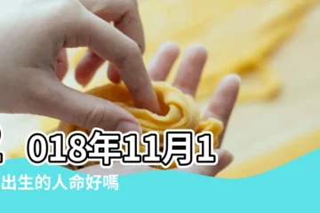 【2018年11月11日怎樣】2018年11月11日出生的人命好嗎 |是什麼命 |2018年11月11日黃曆查詢 |
