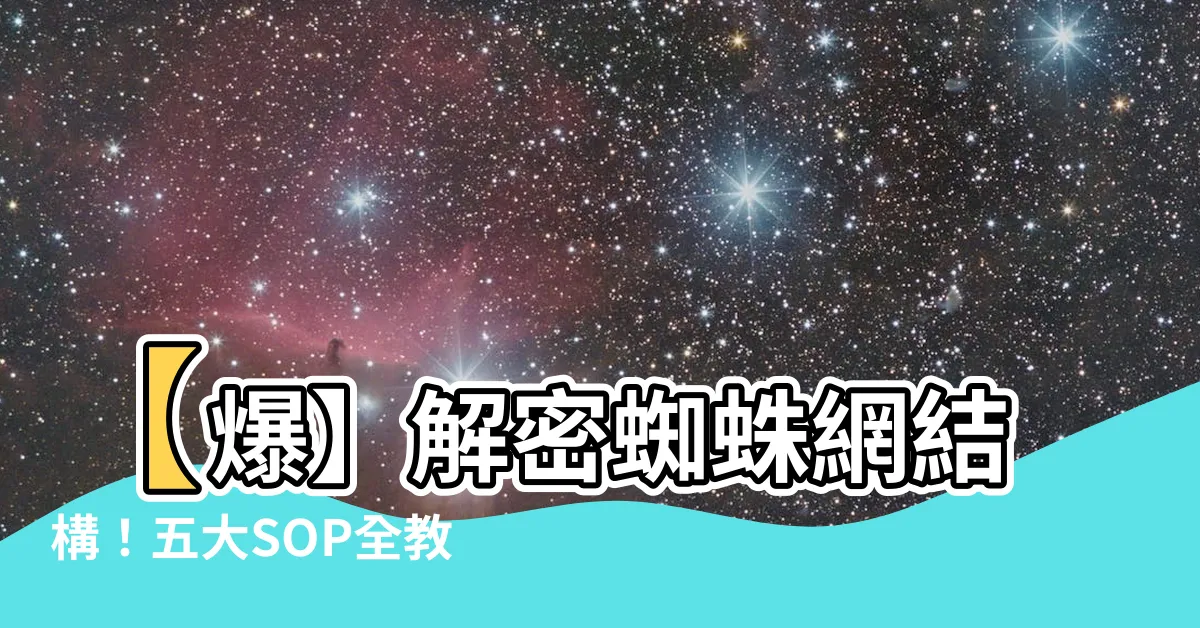 【蜘蛛網】【爆】解密蜘蛛網結構！五大SOP全教學，牆角隱身紡織專家