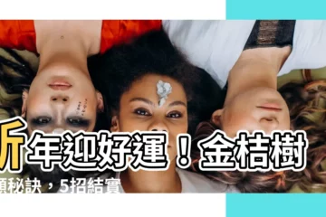 【金桔樹】新年迎好運！金桔樹照顧秘訣，5招結實累累過好年