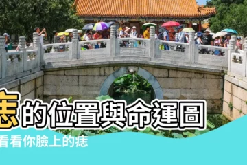 【人臉上長痣分析】痣的位置與命運圖 |來看看你臉上的痣代表什麼 |臉上27個位置的痣相解析 |