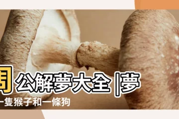 【孕婦夢見一羣食人蜂逃跑】周公解夢大全 |夢見一隻猴子和一條狗 |孕婦夢到蜂蛹 |