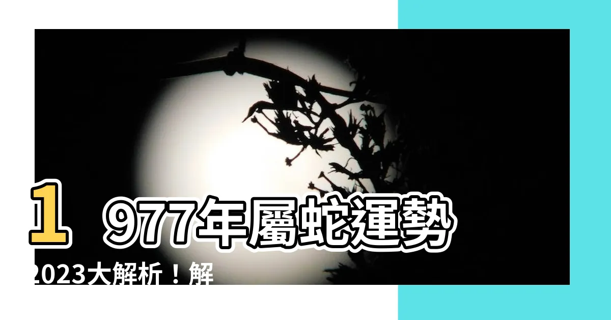 【1977 蛇】1977年屬蛇運勢2023大解析！解讀46歲大劫難